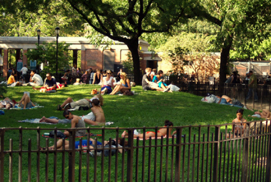 ​​​​​​​Tompkins Square Park. Image via www.timeout.com